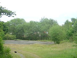 The former goods yard at Llanymynech railway station Llanymynech station yard - geograph.org.uk - 924742.jpg