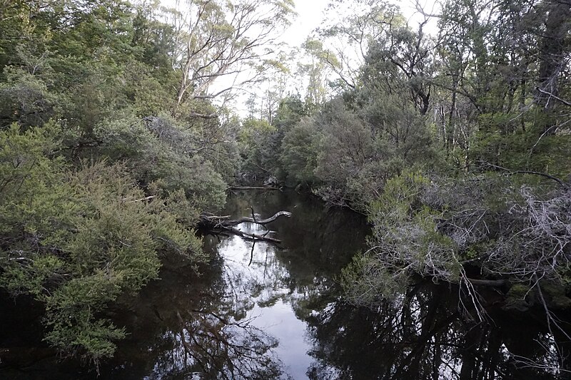 File:Loddon river.jpg