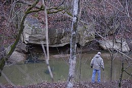 Boom na kłody w Gill, WV