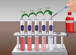 Thumbnail for Serial dilution