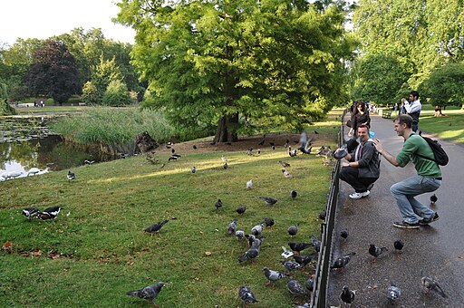 London , Westminster - St James's Park - geograph.org.uk - 2050253