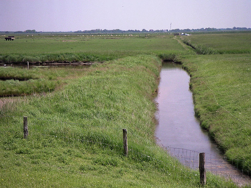 File:Lsg westerhever gräben 1.jpg