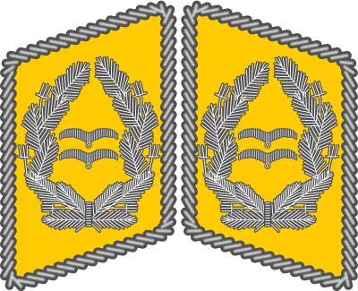 File:Luftwaffe collar tabs Oberstleutnant 3D.svg