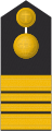 MDS 44 Stabskapitanleutnant Geo.svg