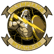 MTATCS-28 insignia.GIF