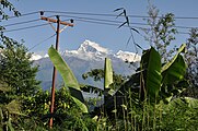 Machhrepuchhre mit Bananen und Bambus im vordergrund. Nicht ganz Nepal ist Yeti-Land - erst über etwa 6000m fängt das ewige Eis an.