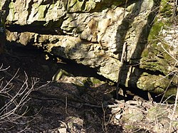 A Macska-barlang bejárata