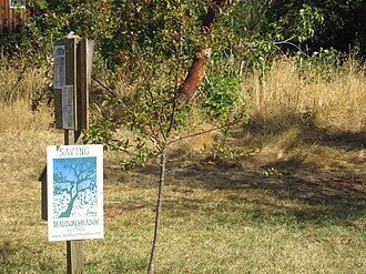 Madison Meadow in the Friendly neighborhood Madison Meadow w Sign.JPG