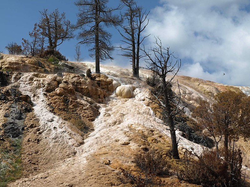 File:Mammoth Springs, Yellowstone NP - panoramio.jpg