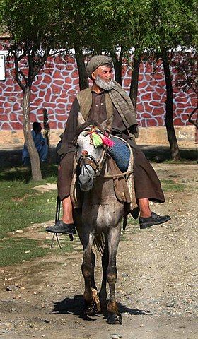 Selle (équitation) — Wikipédia