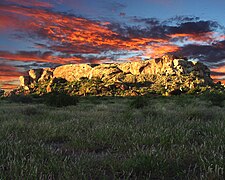 La colline de Mapungubwe