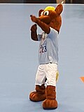 Vorschaubild für U-21-Handball-Weltmeisterschaft 2023