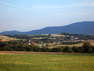 <span class="mw-page-title-main">Międzyrzecze Górne</span> Village in Silesian Voivodeship, Poland