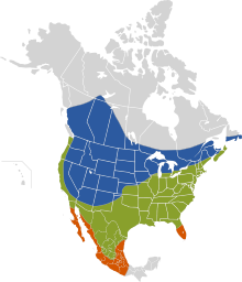 Azul: branu (dómina de reproducción); verde: mientres tol añu; anaranxáu; iviernu (fora de la dómina de reproducción).