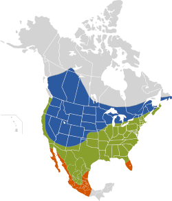 Molothus ater Map.svg