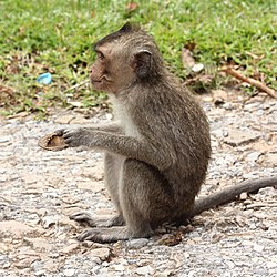 A Fantômette cikk szemléltető képe nyitja a szemét