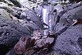 Batuan tropis Gunung Kamerun