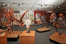 A few of the earth science exhibits on display at IMNH Museum exhibits.jpg