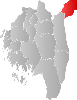 Log vo da Gmoa in da Provinz Østfold