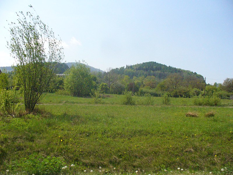 File:Na peryferiach Ustronia - panoramio (1).jpg