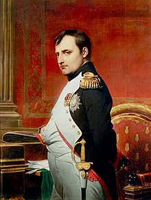 A painting of Napoleon, painted by Paul Delaroche in 1838