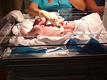 Newborn_checkup.jpg