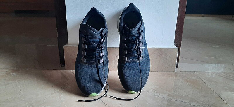 File:Nike Running Shoes.jpg