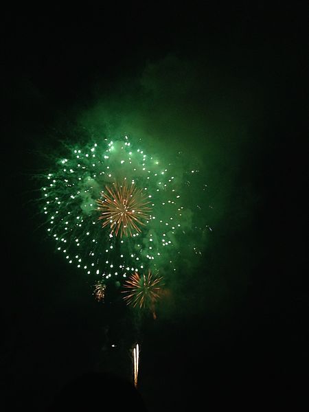 File:Nishi-nippon Ohori Fireworks Festival 20150801-31.jpg