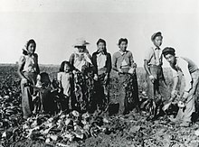 Interned Japanese Canadians working a farm in Turin, Alberta, 1942. Niwatsukino family working on farm in Turin, Alberta (16983747900).jpg