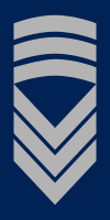 File:Norway-AirForce-OR-8.svg