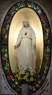 <span class="mw-page-title-main">Our Lady of Pellevoisin</span> Series of Marian apparitions in France