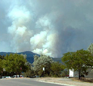 <span class="mw-page-title-main">Oso Complex Fire</span> Wildfire in New Mexico, United States