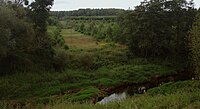 Polski: Fragment rezerwatu Ostoja bobrów na rzece Pasłęce w pobliżu elektrowni wodnej w Pierzchałach