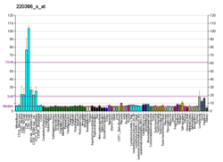 PBB GE EML4 220386 s at fs.png 