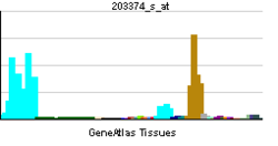 PBB GE TPP2 203374 s ĉe tn.png