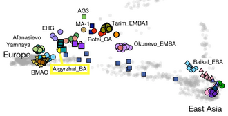 Genetic proximity of the Aigyr-Zhal Bronze Age remains ( ), with ancient (color) and modern (grey) populations. Primary Component Analysis (detail). PC Aigyrzhal BA.png