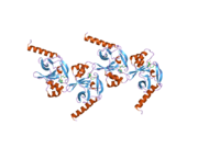 PDB 1zkk EBI.png