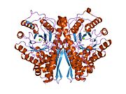 2акм​: Флуоридна инхибиција енолазе: кристална структура инхибиторног комплекса