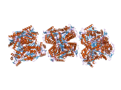 PDB 2onm EBI.png