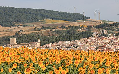 Come arrivare a Pietramontecorvino con i mezzi pubblici - Informazioni sul luogo