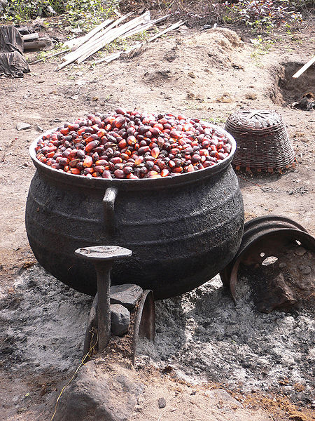 File:Palm oil production in Jukwa Village, Ghana-10.jpg