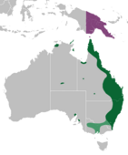 Répartition de Papilio aegeus aegeus (en vert et vert clair : présence temporaire) et de Papilio aegeus ormenus (violet)