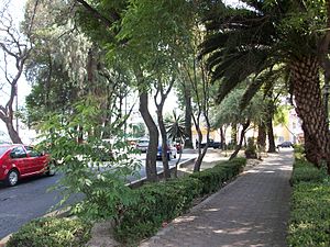Parque de Guadalupe.