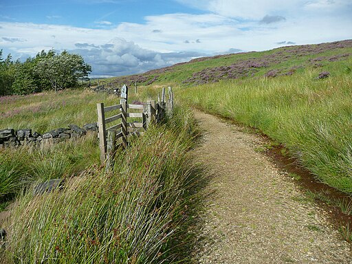 Path junction on the Colne Valley Circular Walk - geograph.org.uk - 3606058