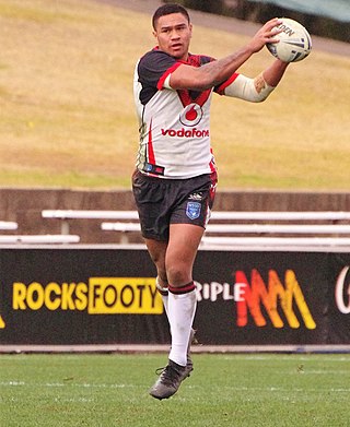 <span class="mw-page-title-main">Paul Turner (rugby league)</span> New Zealand rugby league footballer