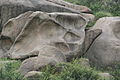 Natural Rock formation in shape of paw or leg impression