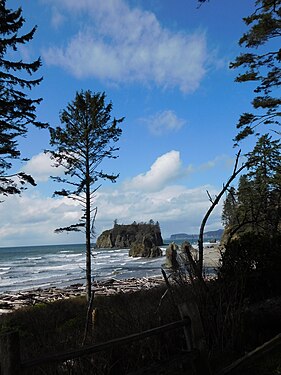 Pacific Coast ,Washington ,USA