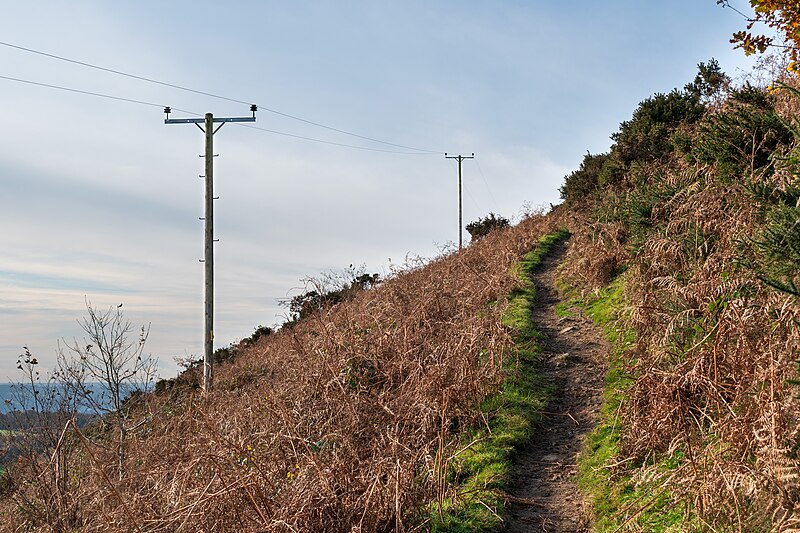 File:Pentyrch - footpath and pylons on Garth Hill Nov 2023.jpg