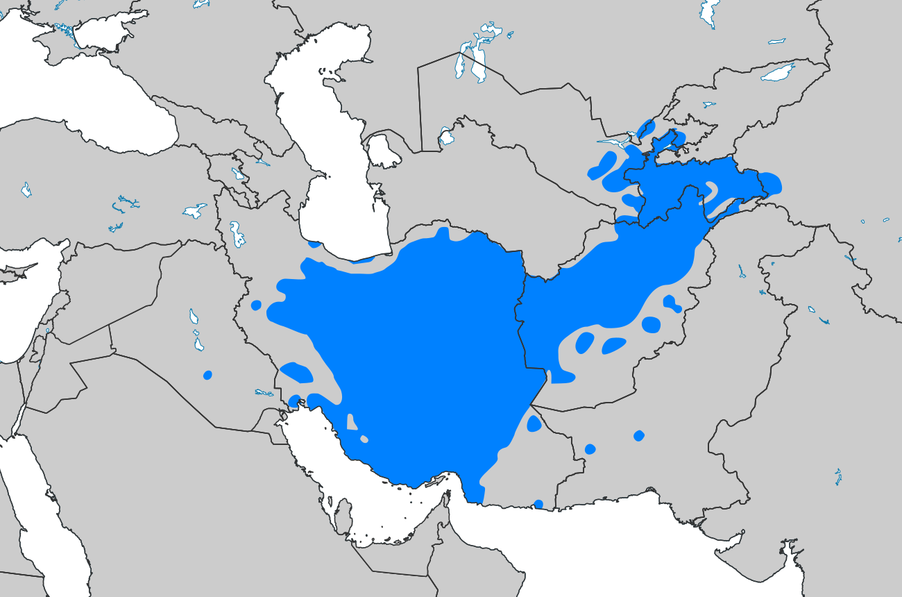 Persian language. Карта иранских языков. Иранский язык. Язык фарси на карте. Персидский язык карта.