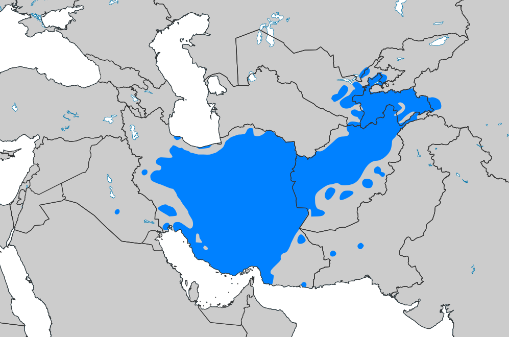 Persian Language-avatar